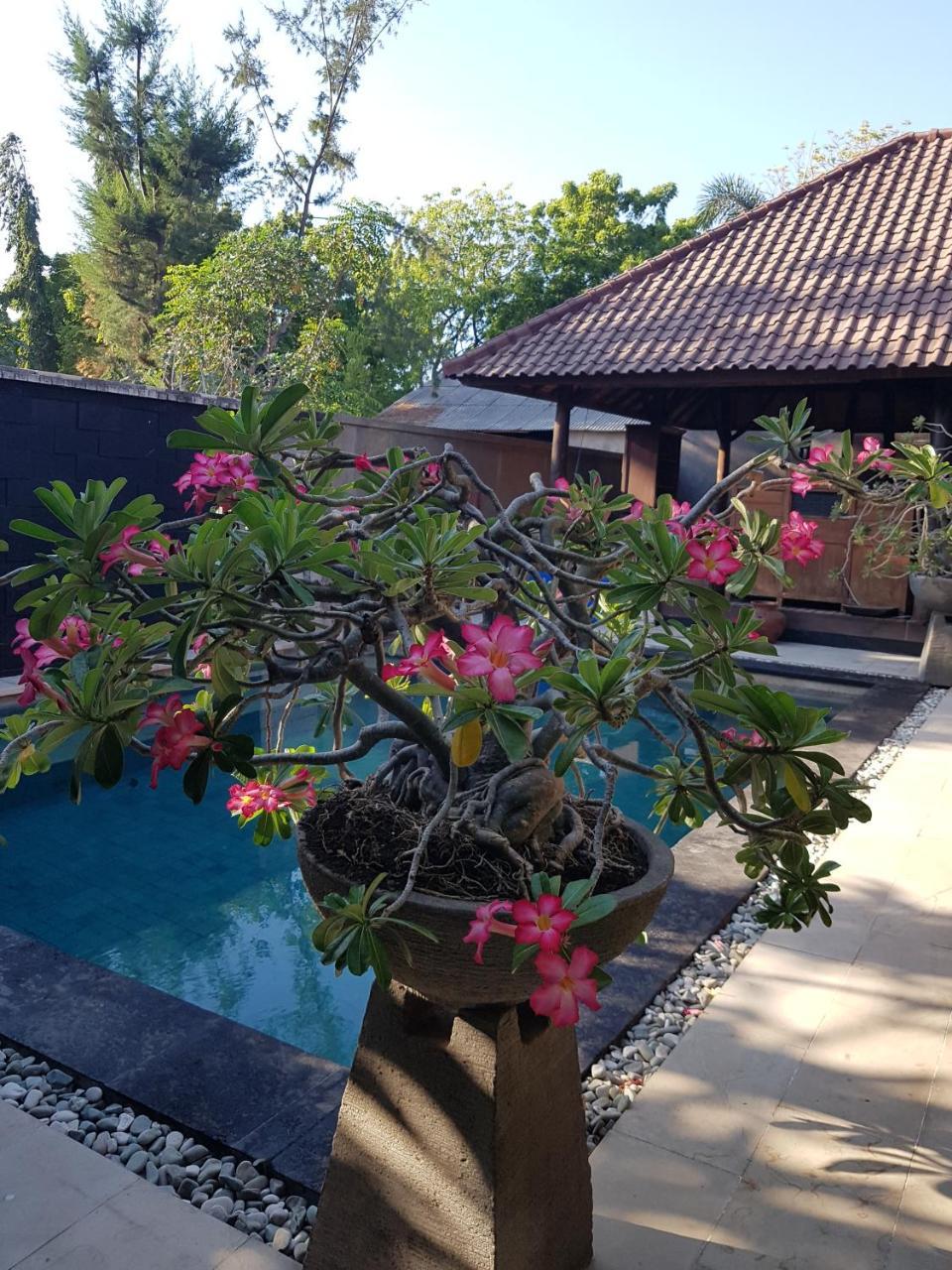 Gili Exotic Villa Gili Trawangan Buitenkant foto